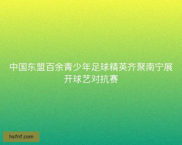 中国东盟百余青少年足球精英齐聚南宁展开球艺对抗赛